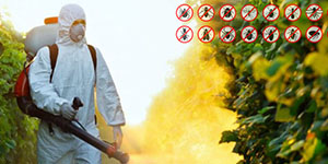 İlaçlama Hizmetleri