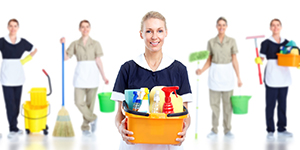 Temizlik Hizmetleri