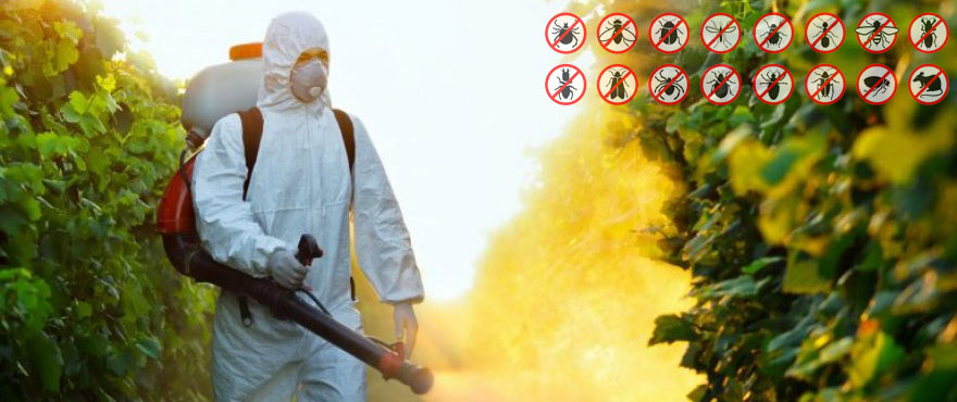 Haşere İlaçlama